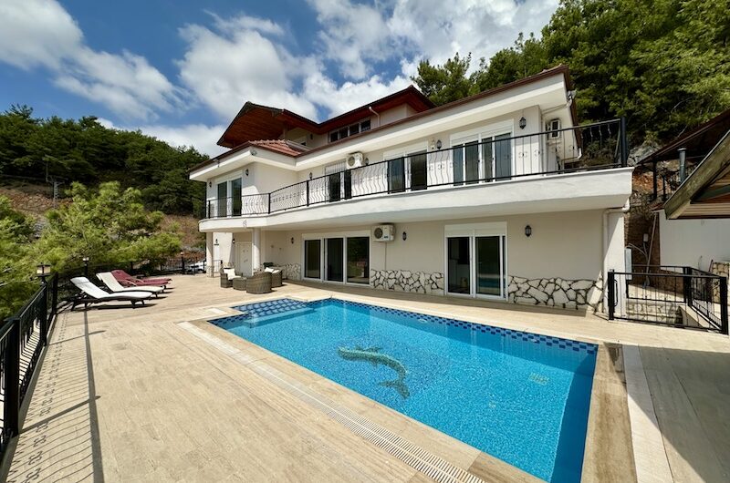 Buy a house in Türkiye, Alanya HL20